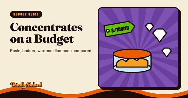 Affordable THCa Concentrates: Live Rosin, Badder, Wax & Diamonds Compared | Totally Baked blog cover