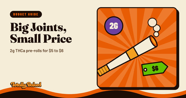 Affordable THCa Pre-Rolls: Big 2g Joints for $5–6 | Totally Baked blog cover