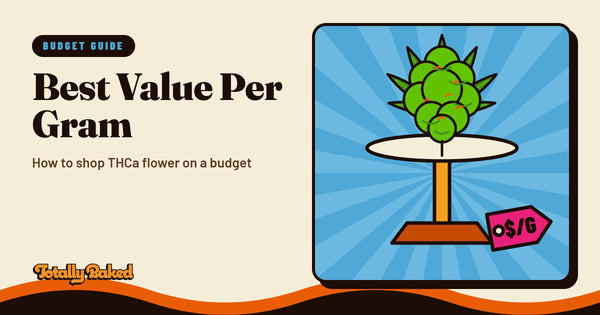 Budget THCa Flower: How to Find the Best Value Per Gram in 2026 | Totally Baked blog cover