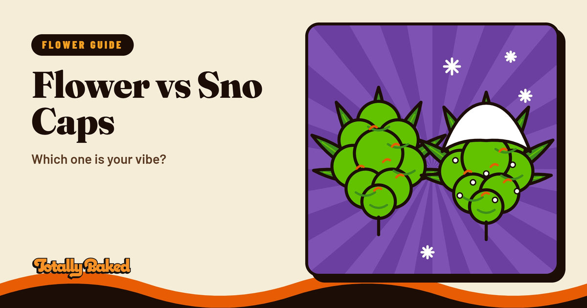 THCA Flower vs Sno Caps: Which One's Your Vibe? | Totally Baked blog cover