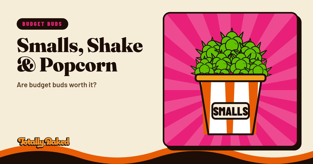 THCa Smalls, Shake & Popcorn Buds: Are Budget Buds Worth It? | Totally Baked blog cover