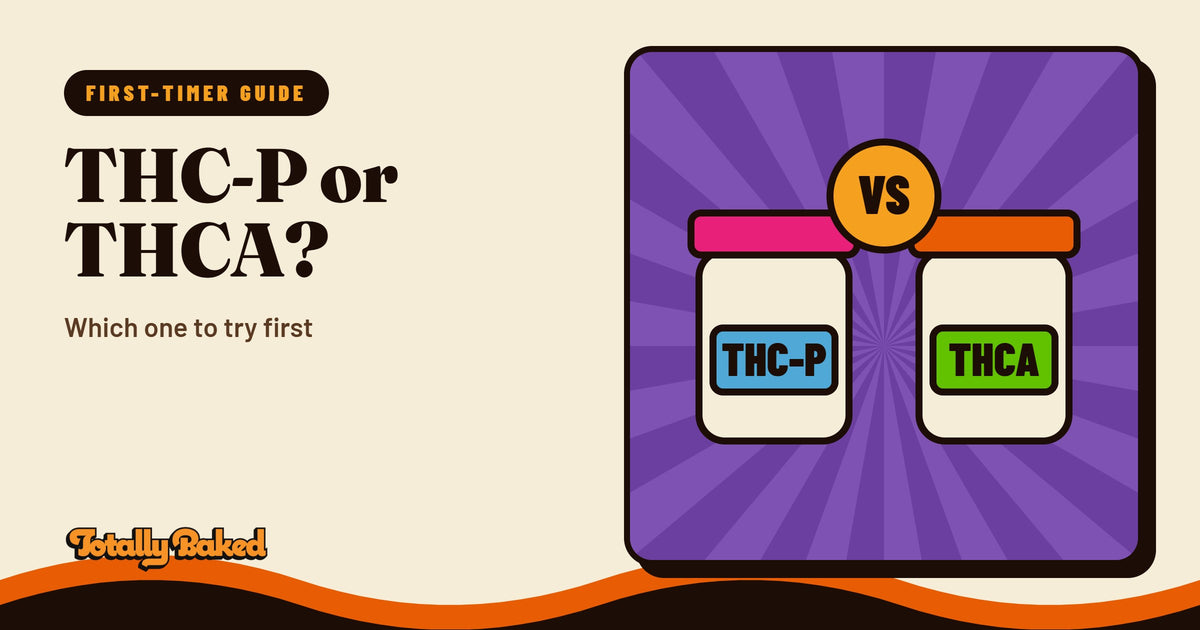 THC-P or THCA?: Which one to try first | Totally Baked
